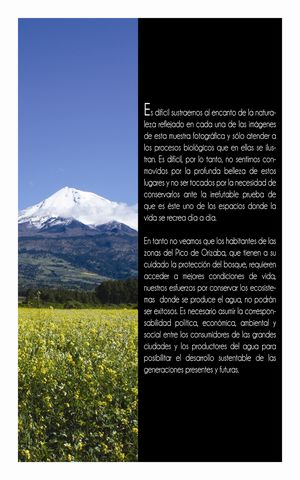 Sin Nombre