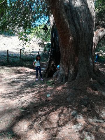 Sin Nombre