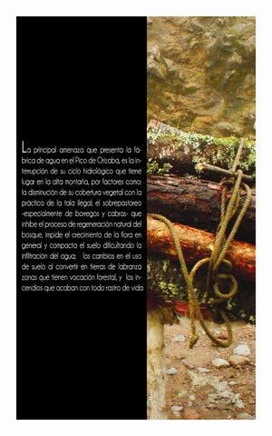 Sin Nombre